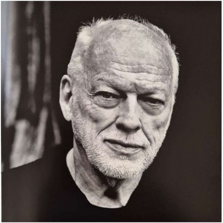 David Gilmour - Luck And Strange (0198028046114) виниловая пластинка - фото 10
