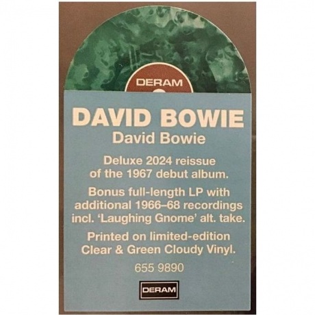 David Bowie - David Bowie (0602465598902) виниловая пластинка - фото 3