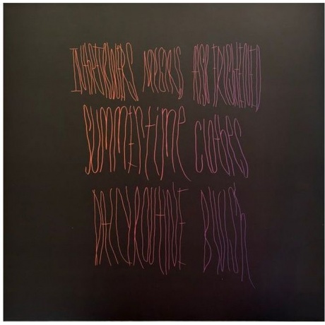 Animal Collective - Merriweather Post Pavilion (coloured) (0887828021635) виниловая пластинка - фото 3