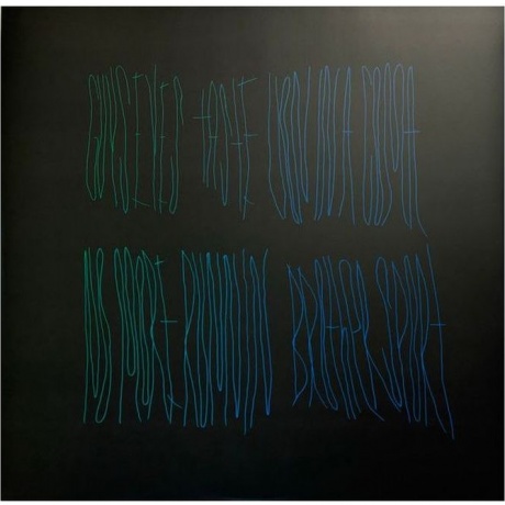 Animal Collective - Merriweather Post Pavilion (coloured) (0887828021635) виниловая пластинка - фото 6