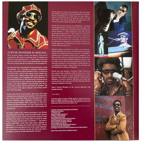 Stevie Wonder - The Definitive Collection (0602475152729) виниловая пластинка - фото 4
