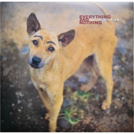David Sylvian - Everything And Nothing (0602465048575) виниловая пластинка - фото 1