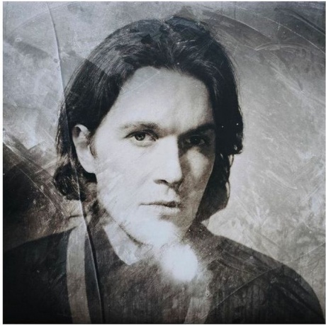 David Sylvian - Everything And Nothing (0602465048575) виниловая пластинка - фото 9