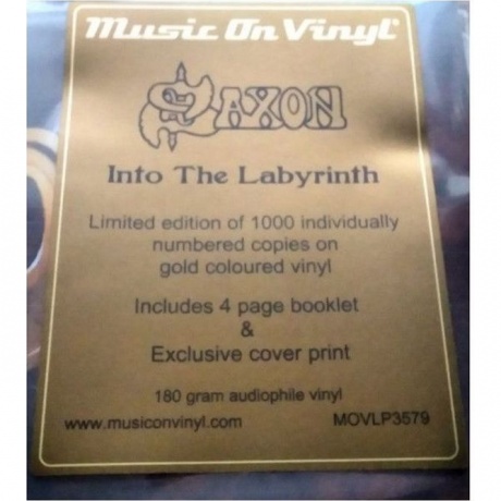 Saxon - Into The Labyrinth (Gold) (8719262031876) виниловая пластинка - фото 11