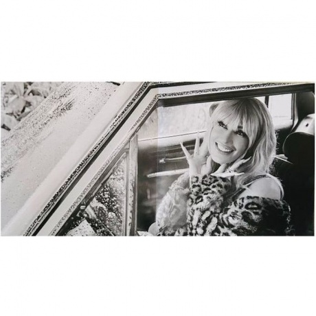 Stefani Gwen - Bouquet (Champagne) (0602475080930) виниловая пластинка - фото 11