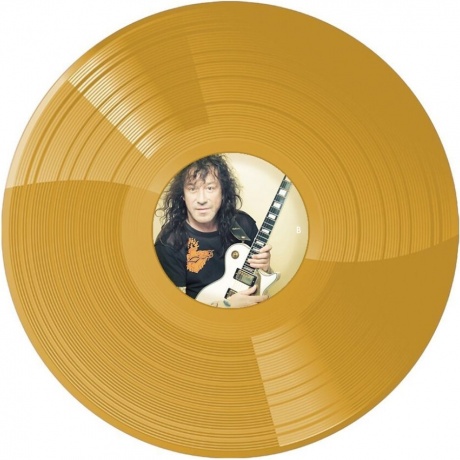 Владимир Кузьмин - Небесное Притяжение (Gold) (+постер) (4680068804572) виниловая пластинка - фото 6