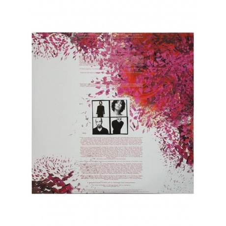 Garbage - Beautiful Garbage (Deluxe Box Set) (4050538689433) виниловая пластинка - фото 12