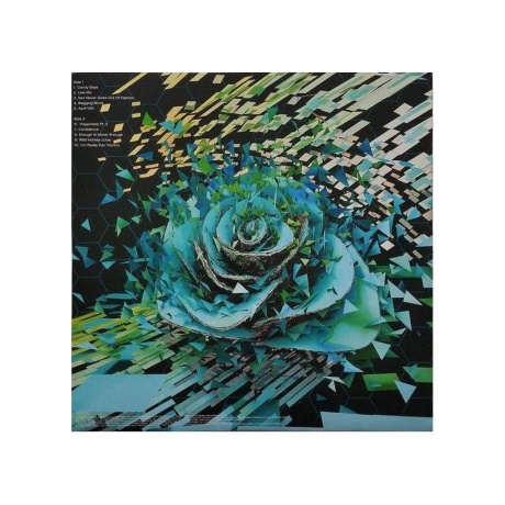 Garbage - Beautiful Garbage (Deluxe Box Set) (4050538689433) виниловая пластинка - фото 18