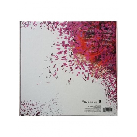 Garbage - Beautiful Garbage (Deluxe Box Set) (4050538689433) виниловая пластинка - фото 3