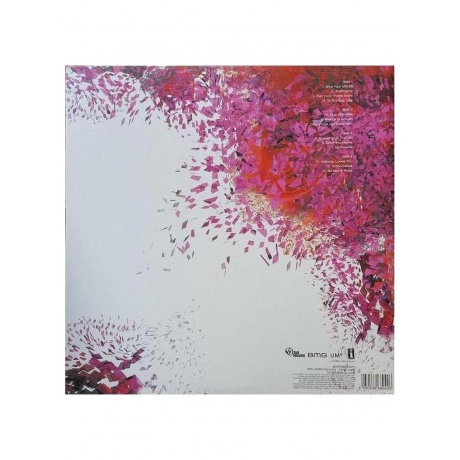 Garbage - Beautiful Garbage (Deluxe Box Set) (4050538689433) виниловая пластинка - фото 5