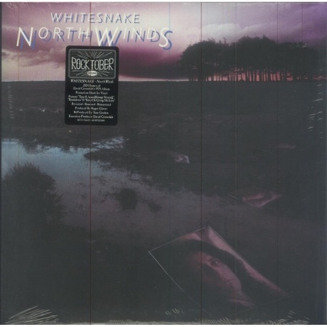 Whitesnake - Northwinds  (0603497823888) виниловая пластинка - фото 2