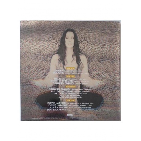 Cher - Believe (Clear &amp; Blue) (5054197614200) виниловая пластинка - фото 13