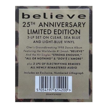 Cher - Believe (Clear &amp; Blue) (5054197614200) виниловая пластинка - фото 18