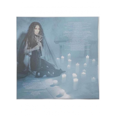 Cher - Believe (Clear &amp; Blue) (5054197614200) виниловая пластинка - фото 10