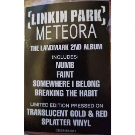 Linkin Park - Meteora  (0093624844051) виниловая пластинка - фото 8