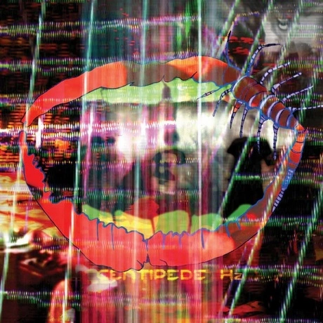 Animal Collective - Centipede Hz (5034202027416) виниловая пласт...