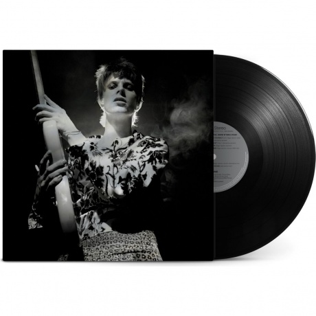 David Bowie - Rock 'N' Roll Star! (5054197623554) виниловая пластинка - фото 2
