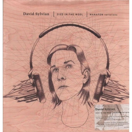 David Sylvian - Died In The Wool (0602465575910) виниловая пластинка - фото 1