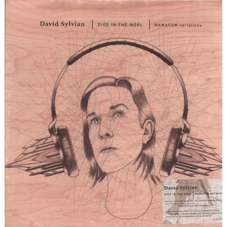 David Sylvian - Died In The Wool (0602465575910) виниловая пласт...