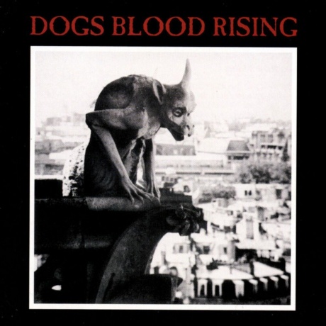 Current 93 - Dogs Blood Rising (picture) (5060446127414) виниловая пластинка - фото 1