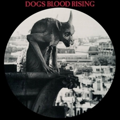 Current 93 - Dogs Blood Rising (picture) (5060446127414) виниловая пластинка - фото 2