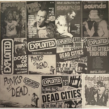 The Exploited - Punks Not Dead (5013929611009) виниловая пластинка - фото 5