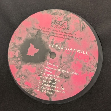 Peter Hammill - Incoherence (5013929488915) виниловая пластинка - фото 7