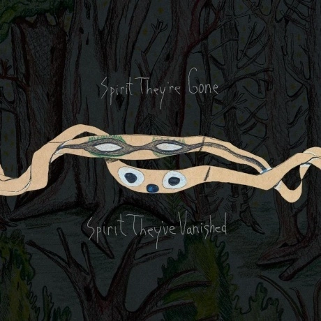 Animal Collective - Spirit They're Gone, Spirit They've Vanished...