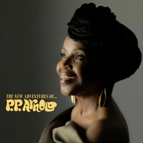 P.P. Arnold - The New Adventures Of... (4029759140399) виниловая...