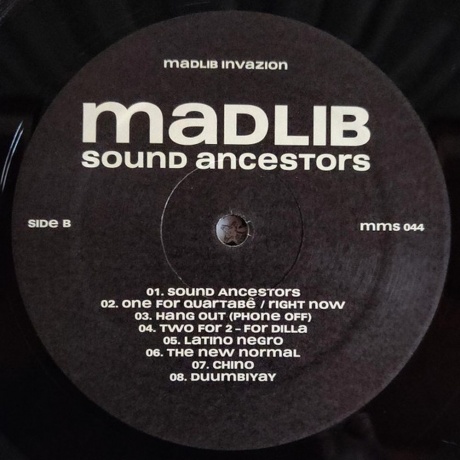 Madlib - Sound Ancestors (0989327004413) виниловая пластинка - фото 3