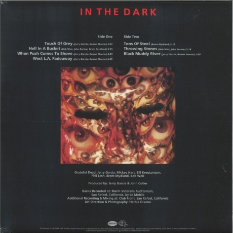 Grateful Dead - In The Dark (0603497830770) виниловая пластинка - фото 2
