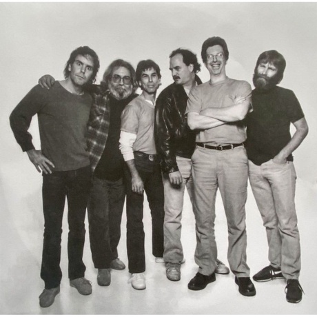 Grateful Dead - In The Dark (0603497830770) виниловая пластинка - фото 5