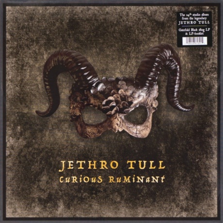 Jethro Tull - Curious Ruminant (0198028618915) виниловая пластинка - фото 1