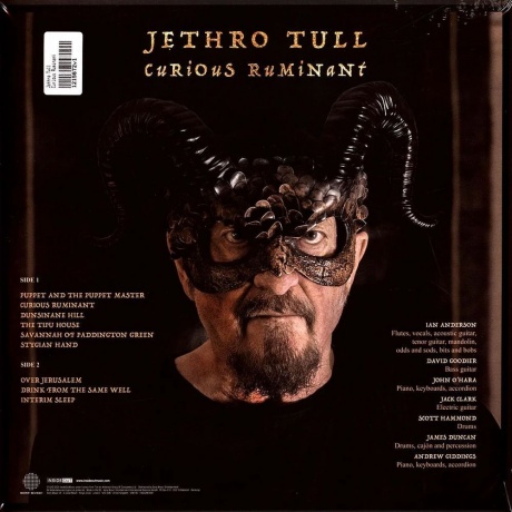 Jethro Tull - Curious Ruminant (0198028618915) виниловая пластинка - фото 2