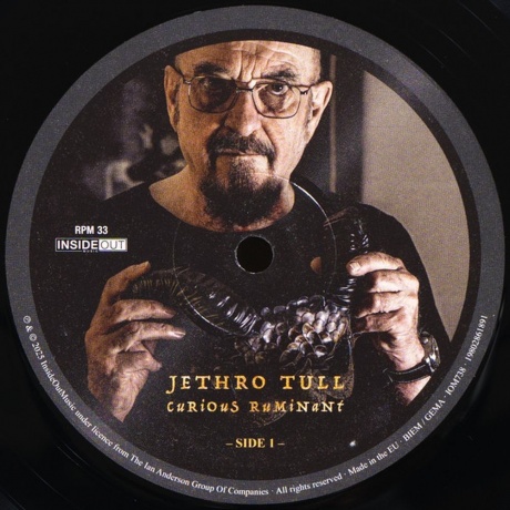 Jethro Tull - Curious Ruminant (0198028618915) виниловая пластинка - фото 3