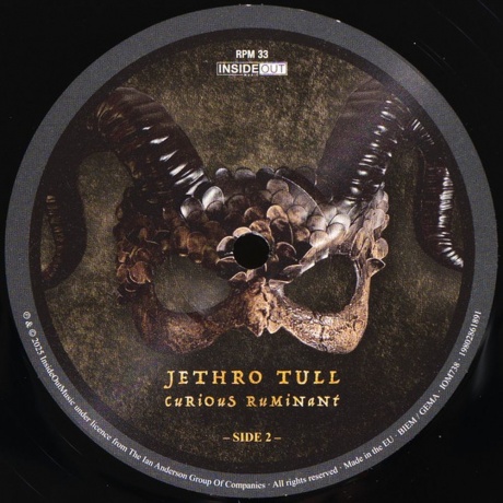Jethro Tull - Curious Ruminant (0198028618915) виниловая пластинка - фото 4