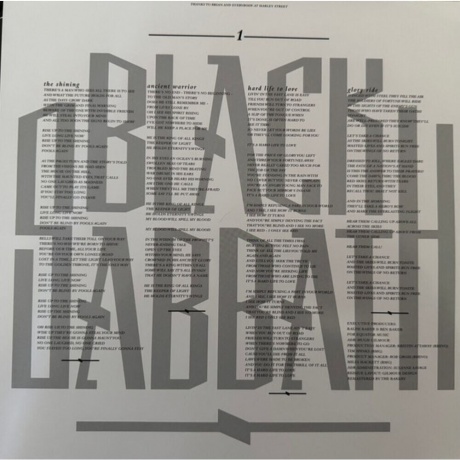 Black Sabbath - The Eternal Idol (coloured) (4099964129120) виниловая пластинка - фото 6