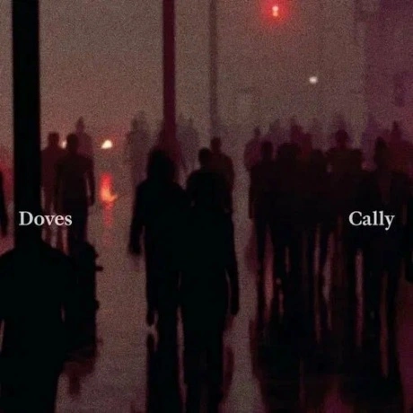 Doves - Cally/ Lean Into The Wind (V10) (coloured) (060247548252...