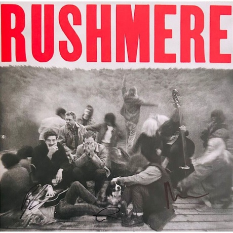 Mumford &amp; Sons - Rushmere (0602475276197) виниловая пластинка - фото 1