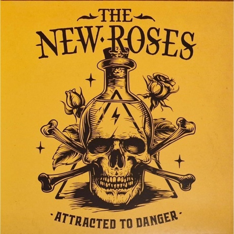 The New Roses - Attracted To Danger (0810166860567) виниловая пластинка - фото 1