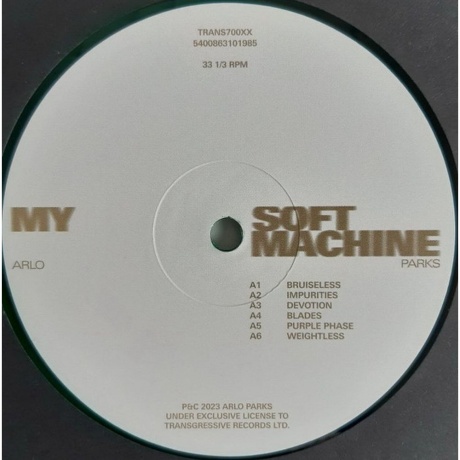 Arlo Parks - My Soft Machine (coloured) (5400863101985) виниловая пластинка - фото 7