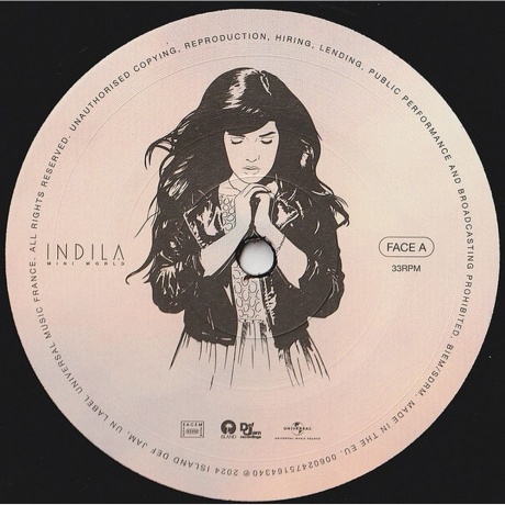 Indila - Mini World (0602475158035) виниловая пластинка - фото 5