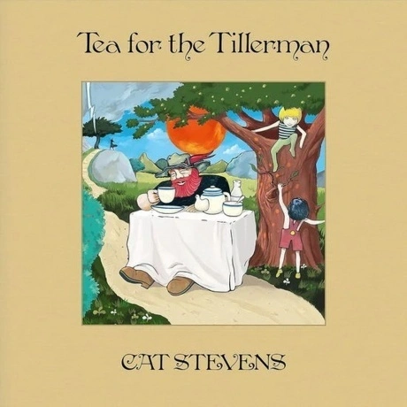 Cat Stevens - Tea For The Tillerman (0602435940885) виниловая пл...