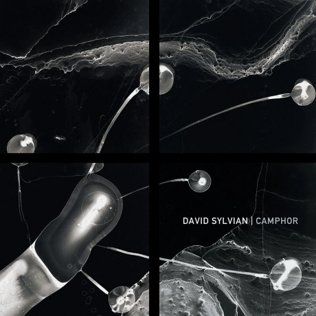 David Sylvian - Camphor II (coloured) (0602475268796) виниловая ...