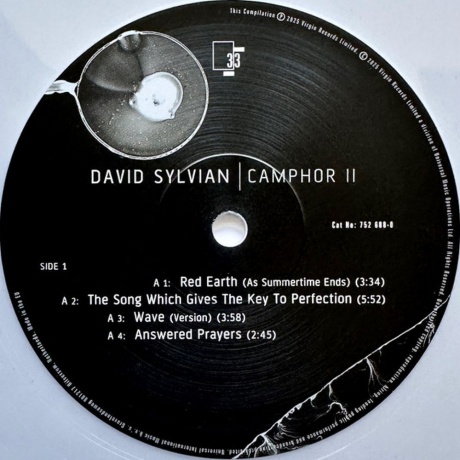 David Sylvian - Camphor II (coloured) (0602475268796) виниловая пластинка - фото 3