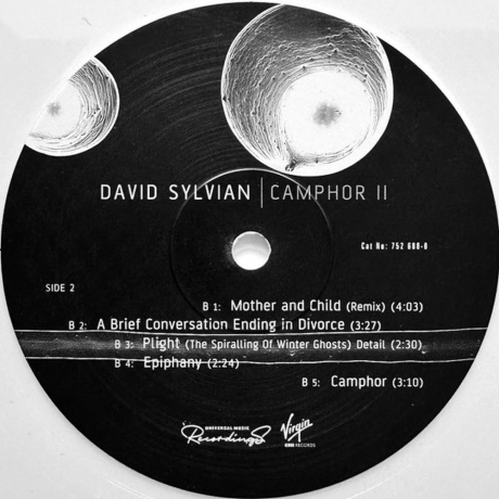 David Sylvian - Camphor II (coloured) (0602475268796) виниловая пластинка - фото 4