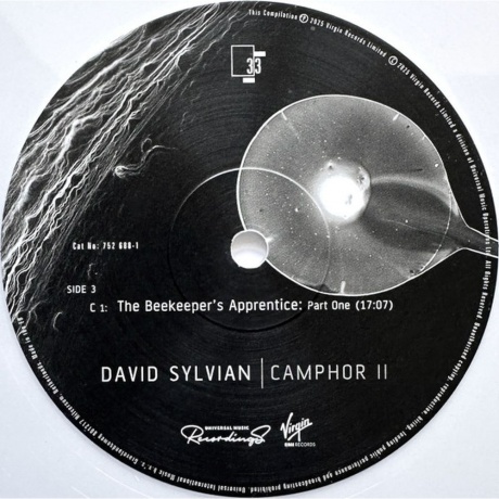 David Sylvian - Camphor II (coloured) (0602475268796) виниловая пластинка - фото 5