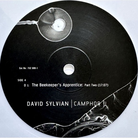 David Sylvian - Camphor II (coloured) (0602475268796) виниловая пластинка - фото 6