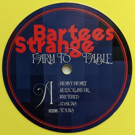 Bartees Strange - Farm To Table (coloured) (0191400048805) виниловая пластинка - фото 3
