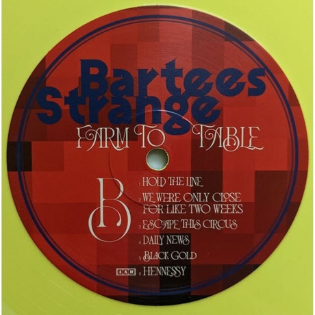 Bartees Strange - Farm To Table (coloured) (0191400048805) виниловая пластинка - фото 4